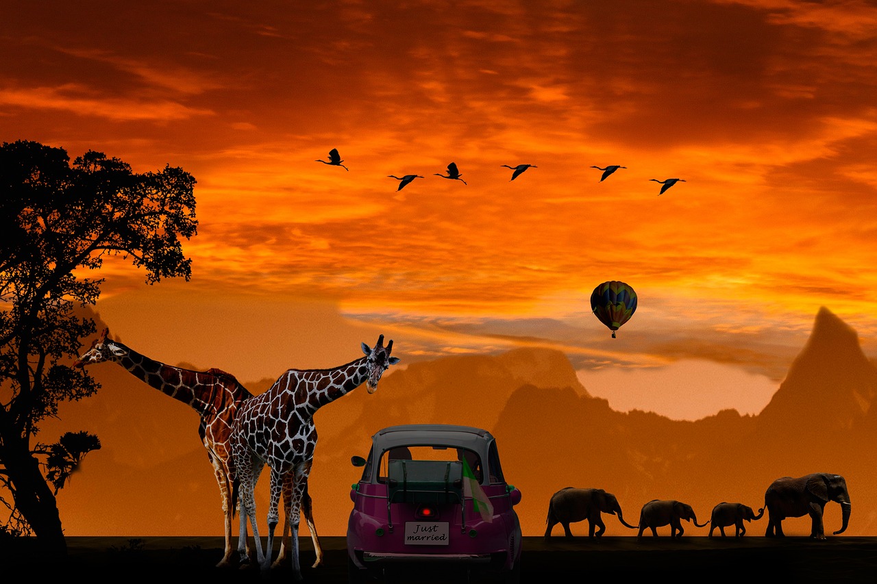 background, 4k wallpaper 1920x1080, free wallpaper-5404410.jpg